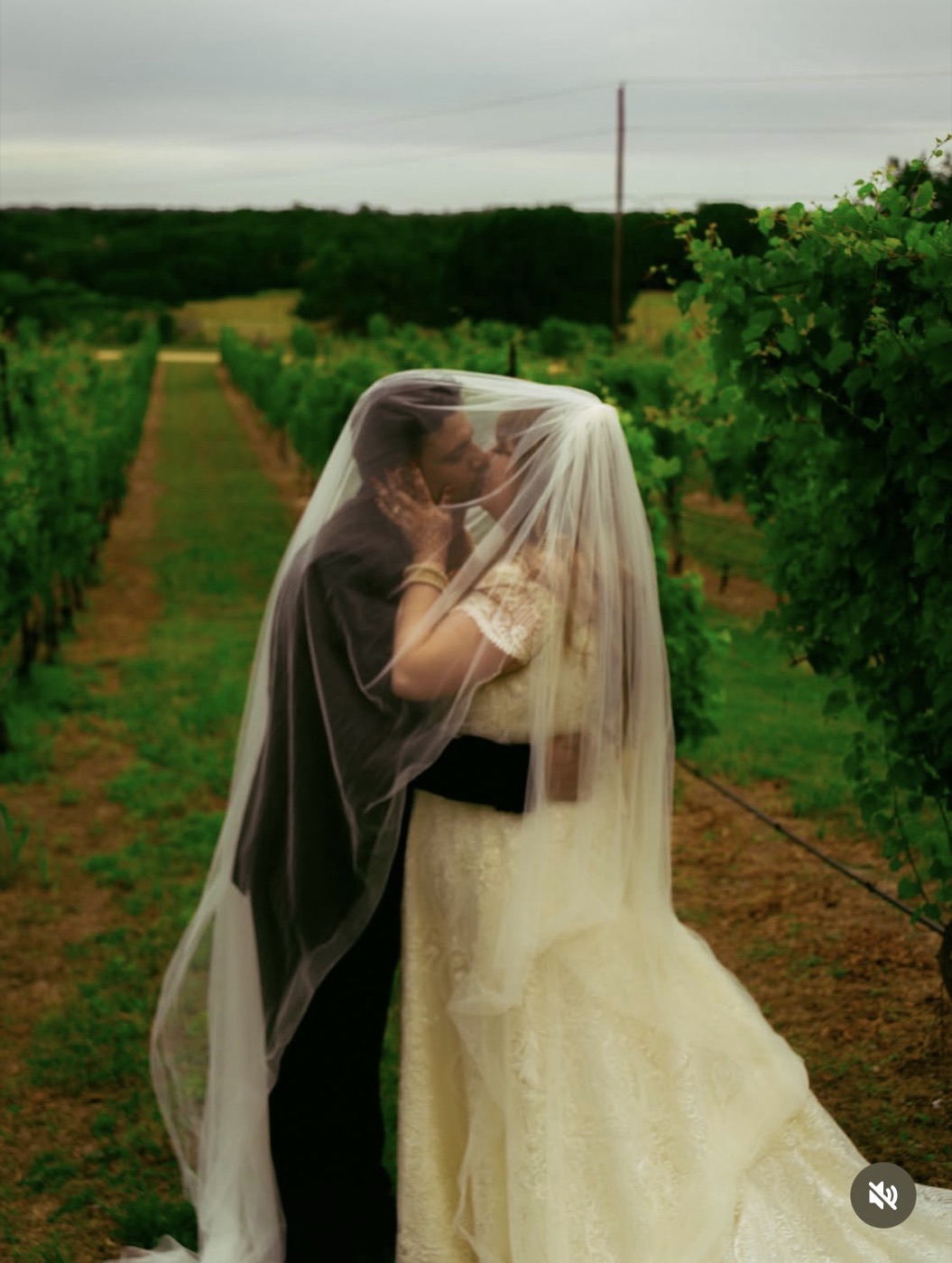 Bride under a veil